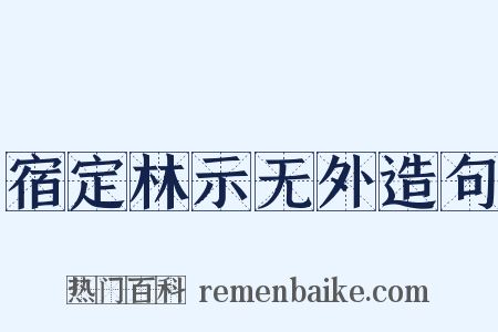宿定林示无外造句是什么意思的图片